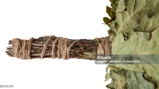 桑拿新手村生存指南：告别手忙脚乱，get 正确打开方式！