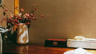 桑拿浴的秘密：新手小白也能秒变老司机！